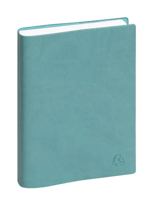 Agenda de bureau EasyDay 17 Ondine 12 x 17 cm Journalier Janvier à Décembre 2027 - Couleurs assorties - New