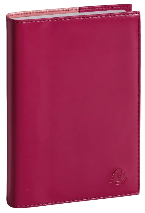 Agenda de poche EasyDay 15 Volga 10 x 15 cm Journalier Janvier à Décembre 2027 - Framboise - New