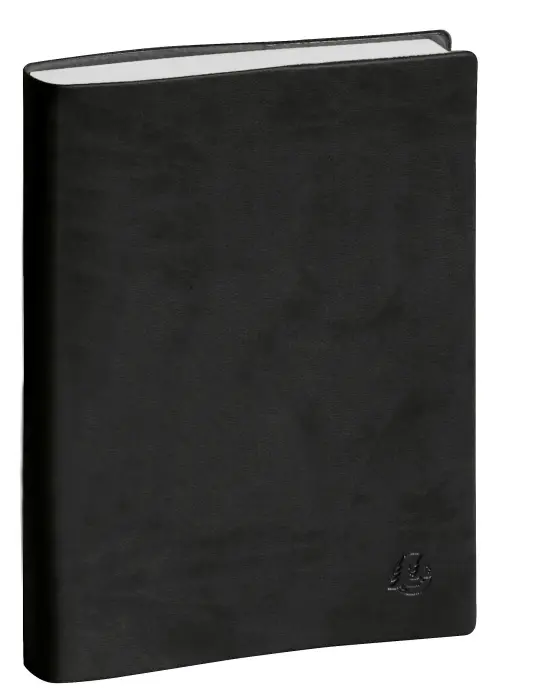 Agenda de bureau Journée planifiée 21 Winner 13,5 x 21 cm Janvier à Décembre 2027 - Noir