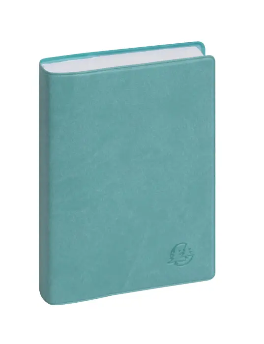 Agenda de poche EasyDay 15 Ondine 10 x 15 cm Journalier Janvier à Décembre 2027 - Bleu