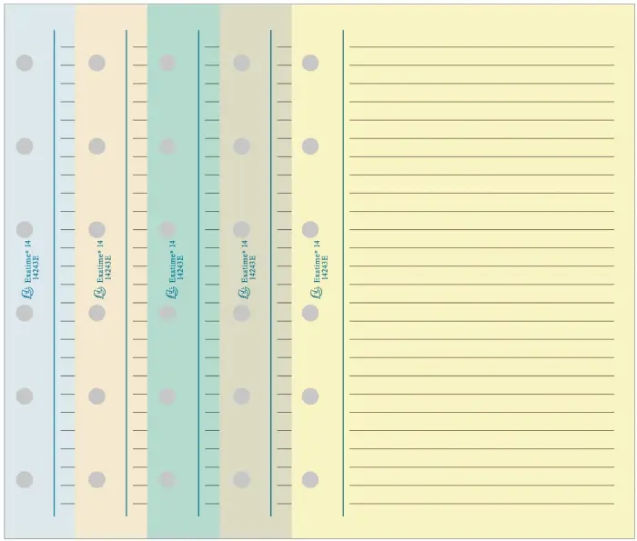 Recharge Exatime 14 - Travers ligné - 1 pièce - Coloris aléatoire