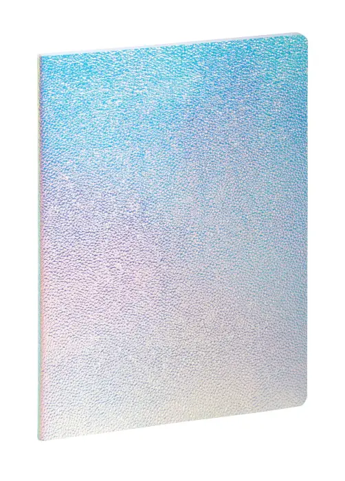 Notebook Ariel ligné et dots 15 x 21 cm - Argent