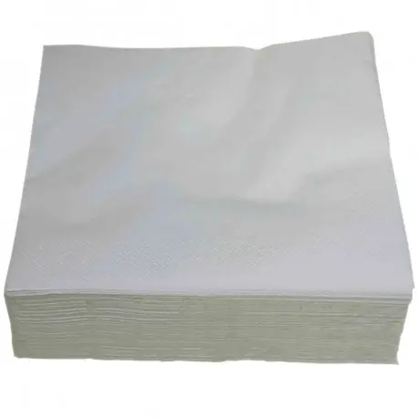 Serviette 39x39cm blanche ouate 2 plis -Ct. de 1800