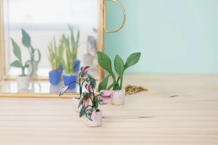 Miniature 2