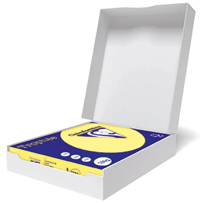 TROPHEE PASTEL A3 160G RAM 250F C.1 - Canari