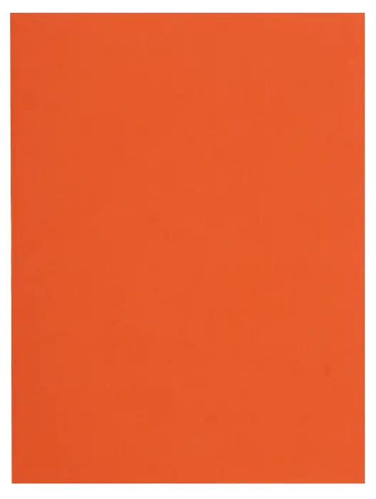 Paquet de 100 chemises FLASH 220 100% recyclé - 24x32cm - Orange