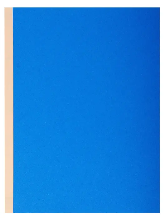 Paquet de 10 chemises à soufflet dos toilé Forever® 320g/m2 - 24x32cm - Couleurs assorties
