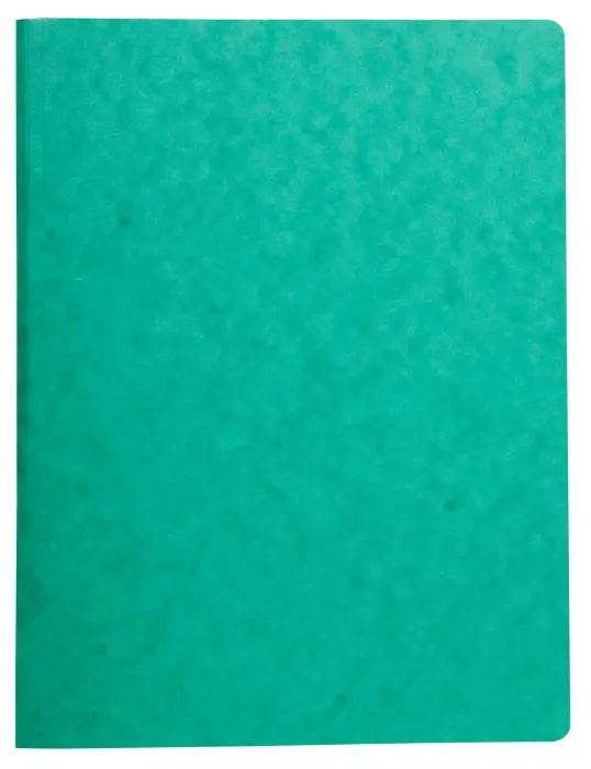 Chemise à ressort carte lustrée 425gm2 - A4 - Vert