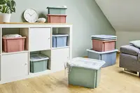 Miniature 7