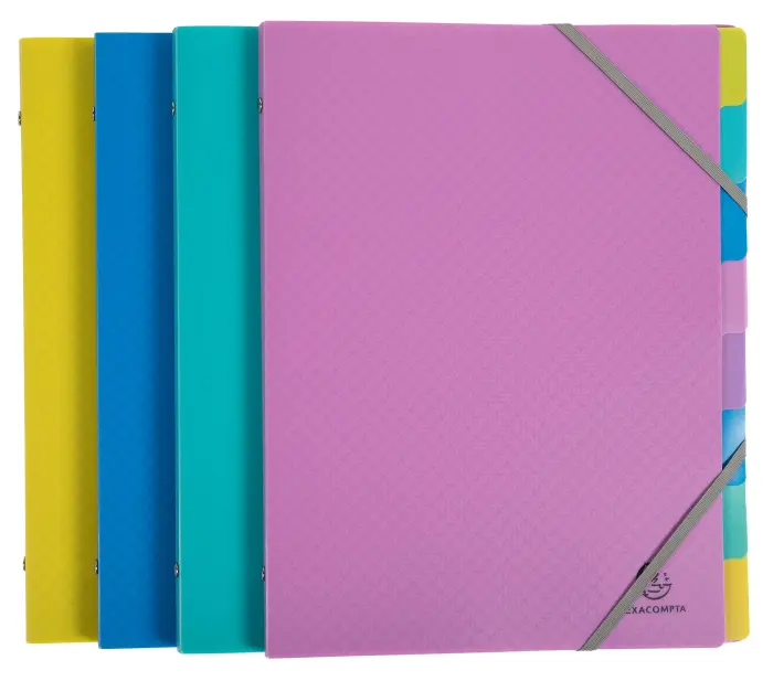 Trieur polypropylène 3 rabats Forever Young 8 compartiments - A4 - Couleurs assorties