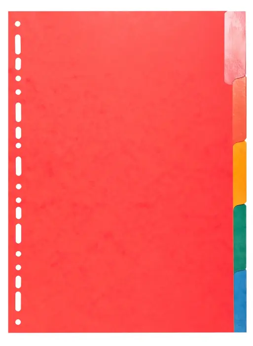 Intercalaires Carte lustrée 225g avec onglets renforcés - 5 positions - A4