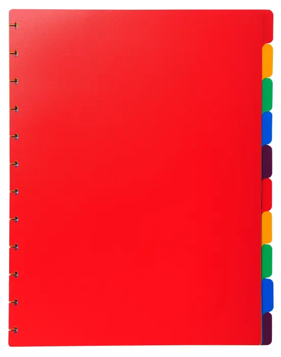 Intercalaires polypropylènes couleurs 10 positions pour porte-vues à anneaux - Couleurs assorties