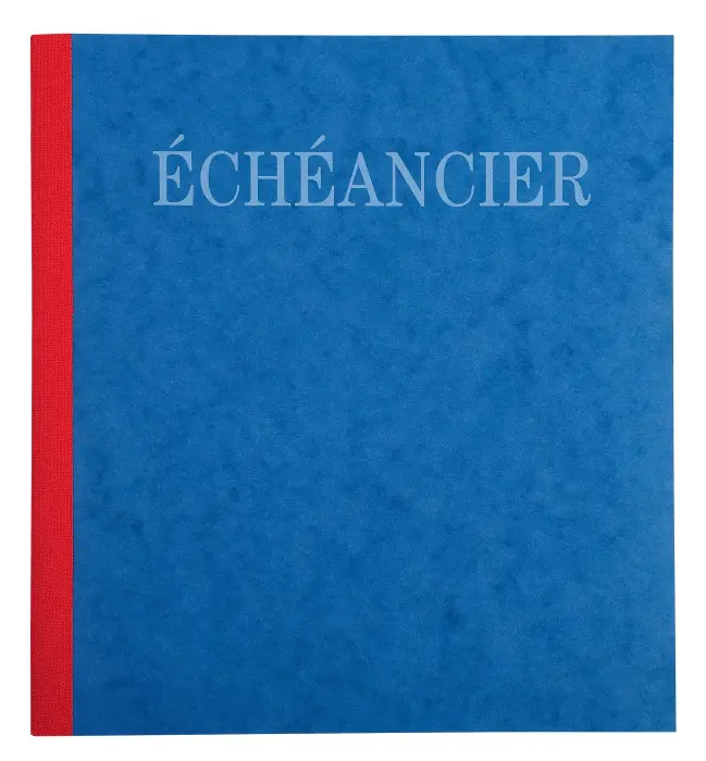 Piqûre 21x19cm échéancier tracé journal 80 pages - Couleurs assorties