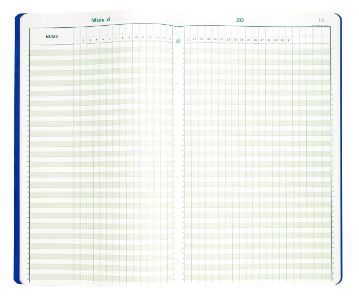 Piqûre 40x24cm - Pointage 46 lignes 80 pages - Couleurs assorties