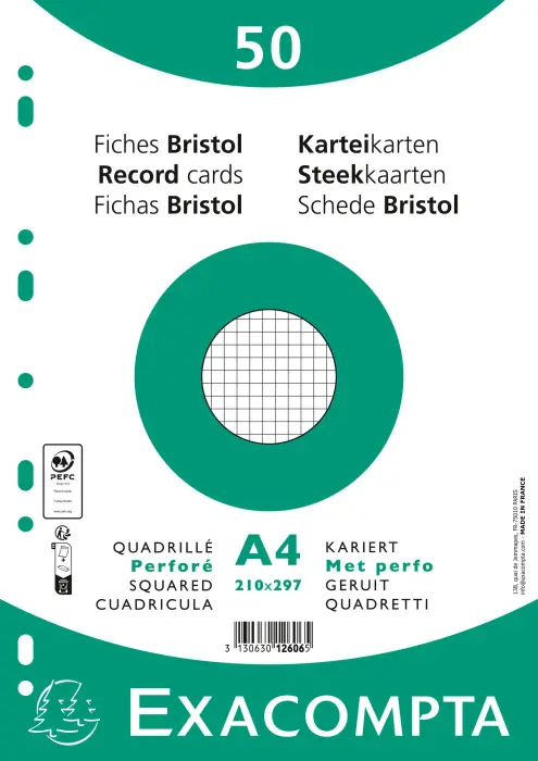 Paquet 50 fiches sous film - bristol quadrillé 5x5 perforé 210x297mm - Blanc