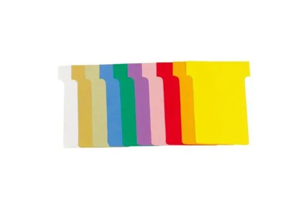 Carton de 10 étuis de 100 fiches en T n°2 - L60 x H85 x l48 x h15 mm - Couleurs assorties