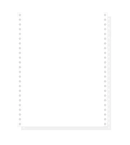 "1000 feuilles de listing autocopiantes blanc 240x12"" 2plis microperforations 4 côtés Bandes Caroll Détachables" - Blanc