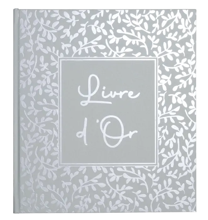 Livre d'or 140 pages tranche argent AutentiK - Vert sauge