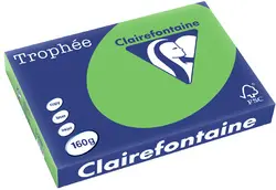Clairefontaine Papier universel Trophée, A3, jonquille