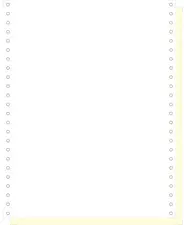 EXACOMPTA Papier listing en continu, 30,48 cm (12") x 240 mm