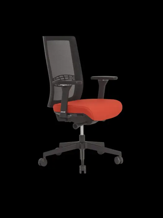 Dossier filet noir 100 000 cycles
Réglage de tension automatique
Translation d'assise
Support lombaire réglable
Lift. Pied nylon