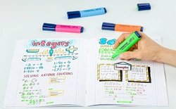 STAEDTLER Surligneur "Textsurfer Classic", vert