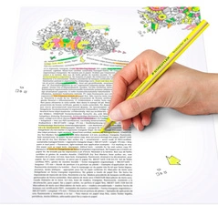 STAEDTLER Crayon surligneur à sec Textsurfer dry, vert