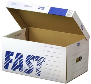 FAST Container standard avec couvercle rabattable