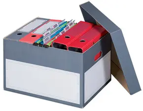 smartboxpro Boîte d'archives/transport L, à couvercle, gris