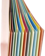 extendos Trieur à élastique série 223,12 compartiments,rouge