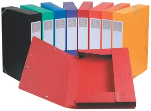 EXACOMPTA Boîte de classement Cartobox, A4, 60 mm, violet