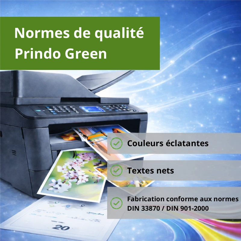 Compatible avec Brother LC221M Magenta Prindo Green Magenta Cartouche d'encre