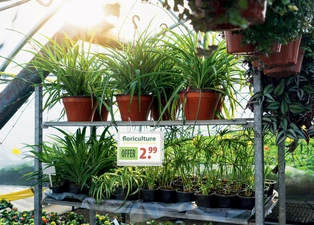 DURABLE Pochette d'affichage, étanche, A5, avec serre-câbles