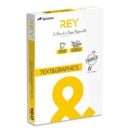 INAPA Ramette 250 feuilles papier TEXT & GRAPHICS A4 160g CIE 170 haute Blancheur très satiné