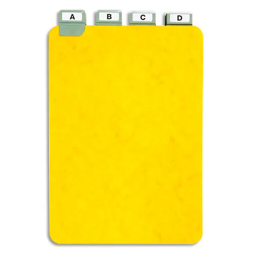 DURABLE Registro In Plastica Con Stampelle A4 - Foratura Universale, 15 Fogli, Grigio - 4